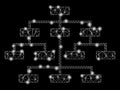 Flare Mesh 2D Program Tree with Flare Spots Royalty Free Stock Photo