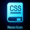 Glowing neon Books about programming icon isolated on brick wall background. Programming language concept. PHP, CSS, XML