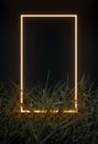Glowing neon golden frame on grass background Royalty Free Stock Photo