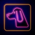 Glowing neon Hunting dog icon isolated on black background. Vector Royalty Free Stock Photo