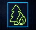 Glowing neon line Burning forest trees in fire flames icon isolated on brick wall background. Natural disaster concept Royalty Free Stock Photo