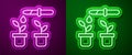 Glowing neon line Drop of water drops from pipette on plant icon isolated on purple and green background. Medical or