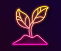 Glowing neon line Plant icon isolated on black background. Seed and seedling. Leaves sign. Leaf nature. Vector