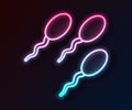 Glowing neon line Sperm icon isolated on black background. Vector Royalty Free Stock Photo