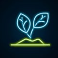 Glowing neon line Sprout icon isolated on black background. Seed and seedling. Leaves sign. Leaf nature. Colorful