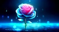 glowing, neon rose with blue and pink petals, sparkling, magical water surface with droplets falling around Royalty Free Stock Photo