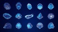 Glowing Neon Seashell Illustrations on Dark Background Royalty Free Stock Photo