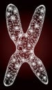 Glossy Net Mesh Chromosome with Lightspots