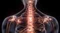 Glowing neural network and cervical spine anatomy visualization Royalty Free Stock Photo