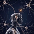 With the glowing neurons, emphasizing neural connections and brain Royalty Free Stock Photo