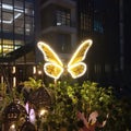 Glowing Night butterflies