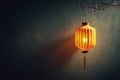 glowing paper lantern hangs softly in dark Royalty Free Stock Photo