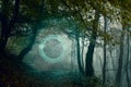 A glowing, portal, gateway on a forest path. On an foggy autumn day