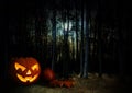 Glowing pumpkin in a dark mystic halloween forest under the moon