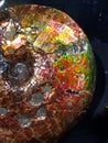 Glowing rainbow seen in fossilized ammonite nacre