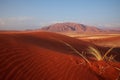 Namib Rand Nature Reserve Ã¢â¬â Sand Dunes of Wolwedans Royalty Free Stock Photo