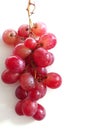 Glowing ripe berries of red grapes Royalty Free Stock Photo