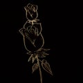 Glowing rose embossed on dark background. Hand drawn Artwork. 3D effects background.