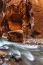 Glowing Sandstone wall, The Narrows, Zion national park, Utah Royalty Free Stock Photo