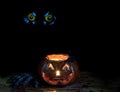 Glowing Scary Pumpkin Decoration In Darkness With Owl Eyes In Ba