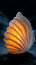glowing seashell on dark background Royalty Free Stock Photo