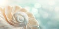 Glowing seashell on a turquoise background, with a spiral pattern, ideal for relaxing summer designs Royalty Free Stock Photo
