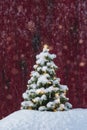 A glowing small Christmas Tree with lights outside against a red barn as it snows Royalty Free Stock Photo
