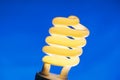 Glowing spiral light bulb on color background Royalty Free Stock Photo