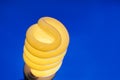 Glowing spiral light bulb on color background Royalty Free Stock Photo