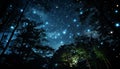 Glowing star trail illuminates dark forest in winter landscape generated by AI Royalty Free Stock Photo