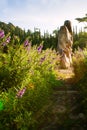 Glowing sunrise shines onto purple flower garden