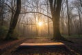 glowing sunrise, with sunlight shining through the trees and onto a yoga mat