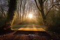 glowing sunrise, with sunlight shining through the trees and onto a yoga mat