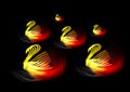 6 glowing swans