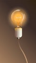 Glowing transparent electric light bulb with lamp holder. Realistic style. Royalty Free Stock Photo