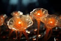 Glowing transparent orange mushrooms in forest at night