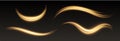 Glowing waves and curves, speed lines light effect, neon magic rays, abstract bright trails.