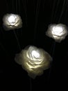 Glowing white roses on the night street. Led flowers in the street in Seoul Royalty Free Stock Photo