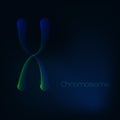 Glowing X chromosome on dark blue background. Genetic engineering concept. Royalty Free Stock Photo