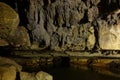 Glowworm cave close to Waitomo, New Zealand Royalty Free Stock Photo