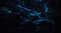 Glowworms illuminate a cave ceiling, creating a starry night effect. The Royalty Free Stock Photo