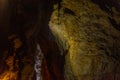 Glowworms at Ruakuri cave in New Zealand Royalty Free Stock Photo