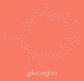 Glucagon hypoglycemia drug molecule. Skeletal formula.