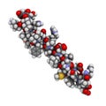 Glucagon-like peptide 2 (GLP-2) peptide molecule. Its recombinant analog teduglutide is used to treat Short-Bowel Syndrome, an Royalty Free Stock Photo