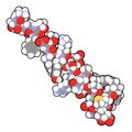 Glucagon peptide hormone. Has blood sugar level increasing effects, balancing the effect of insulin. Atoms are represented as