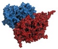 Glucocerebrosidase (beta-glucosidase) enzyme molecule.