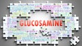 Glucosamine as a complex subject, related to important topics spreading around as a word cloud