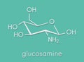 Glucosamine dietary supplement molecule. Used in treatment of osteoarthritis. Skeletal formula.