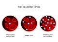 Glucose in the blood vessel.