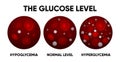 Glucose in the blood vessel. Normal levels, hyperglycemia, hypoglycemia. Normal, high and low blood sugar. Blood diagram